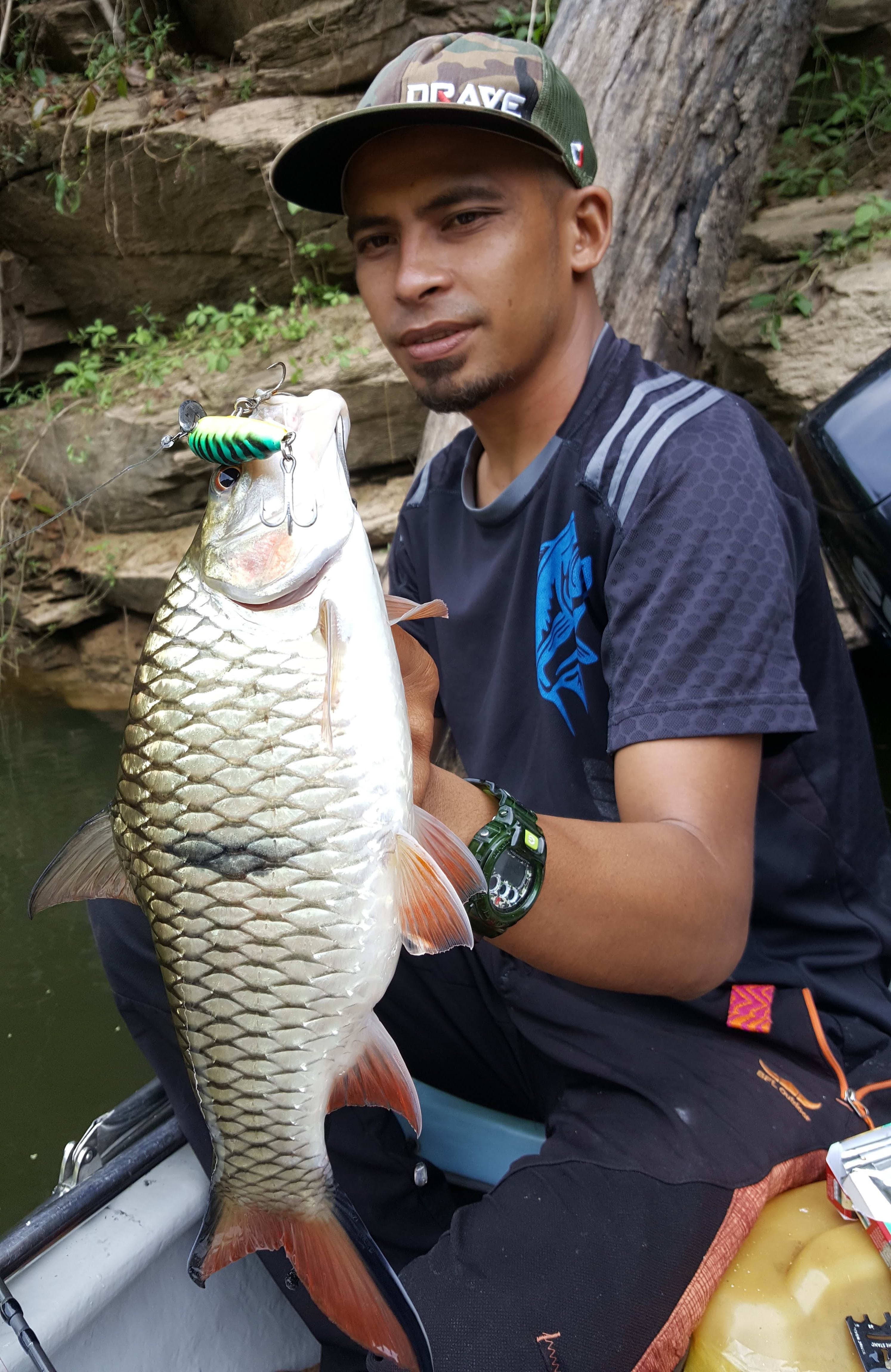 The Sebarau Territory in Royal Belum, Perak