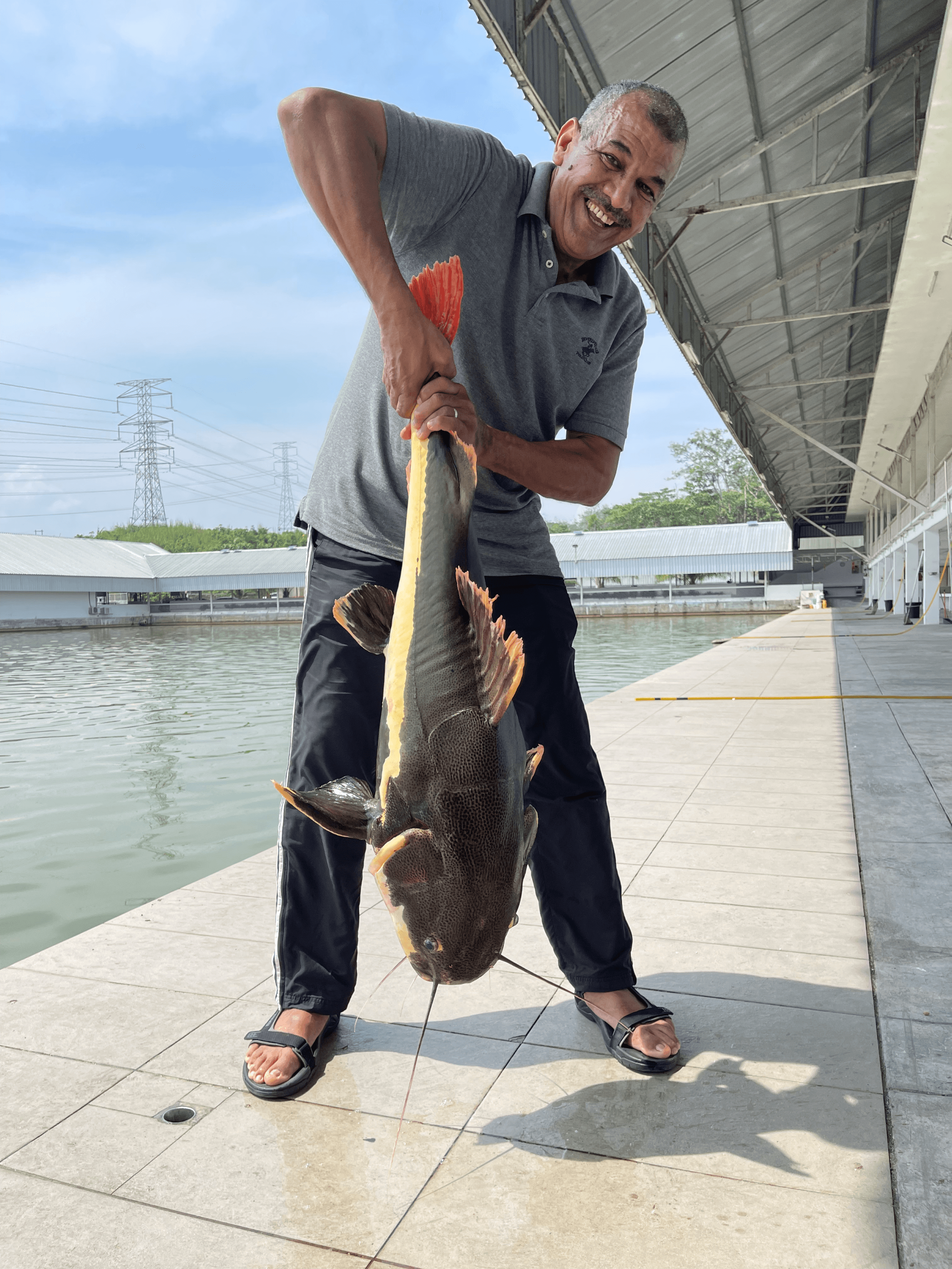 Trophy sized Amazonian catfish that will definitely put a smile on your face.